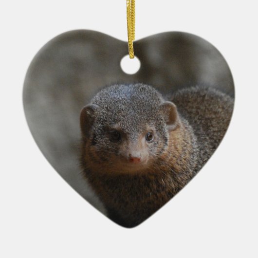 Mongoose Ornament (Voorkant)