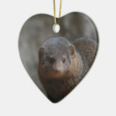 Mongoose Ornament (Links)