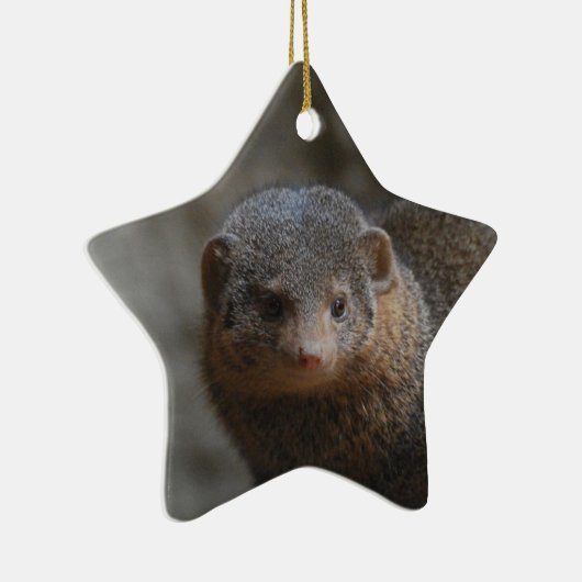 Mongoose Ornament (Rechts)
