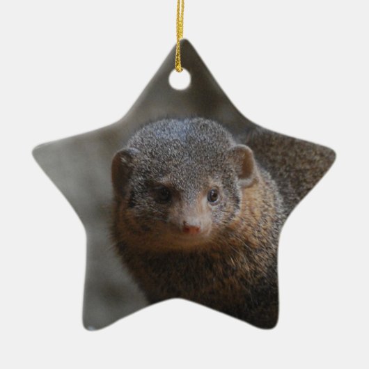 Mongoose Ornament (Voorkant)