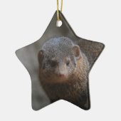 Mongoose Ornament (Links)