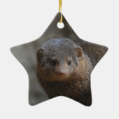 Mongoose Ornament (Achterkant)