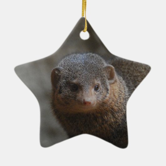 Mongoose Ornament (Achterkant)