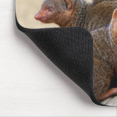 Mongooses Muismat (Hoek)