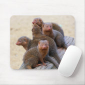 Mongooses Muismat (Met muis)