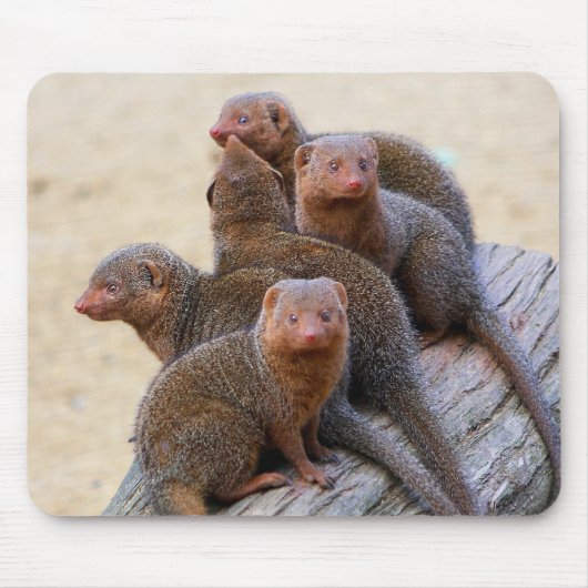 Mongooses Muismat (Voorkant)