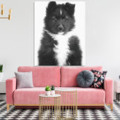 Mongrel Dog, Studio Shot Canvas Afdruk (Insitu (Woonkamer))
