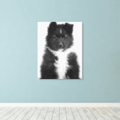 Mongrel Dog, Studio Shot Canvas Afdruk (Insitu (Houten vloer))