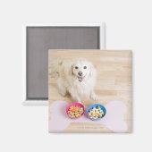 mongrel zit voor twee kom met hond magneet (Voorkant / Achterkant)