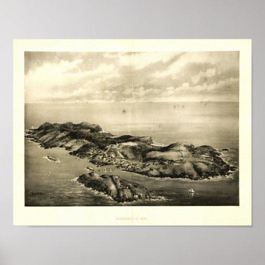 Monhegan Island, Maine 1896 Panaromic Uitzicht Pos Poster (Voorkant)