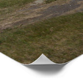 Monhegan Poster (Hoek)