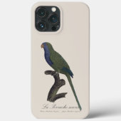 Monikiet of Quakerparkiet, Myiopsitta Monachus Case-Mate iPhone Case (Achterkant)