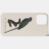 Monikiet of Quakerparkiet, Myiopsitta Monachus Case-Mate iPhone Case (Achterkant (horizontaal))