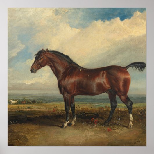 "Monitor" Paardenschilderij van James Ward Poster (Voorkant)