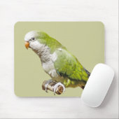 Monk Paraket Muismat (Met muis)