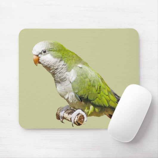 Monk Paraket Muismat (Met muis)