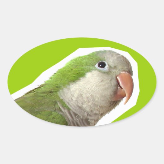 Monk Paraket Ovale Sticker (Voorkant)