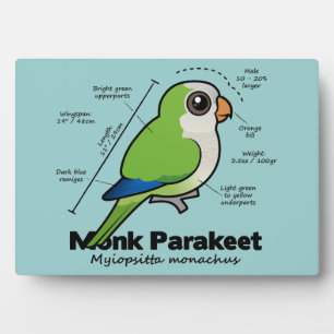 Monk Paraket Statistics Fotoplaat