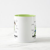 Monk Paraket Statistics Mok (Midden)