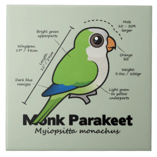 Monk Paraket Statistics Tegeltje