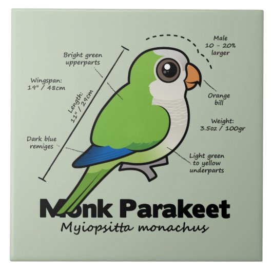 Monk Paraket Statistics Tegeltje (Voorkant)