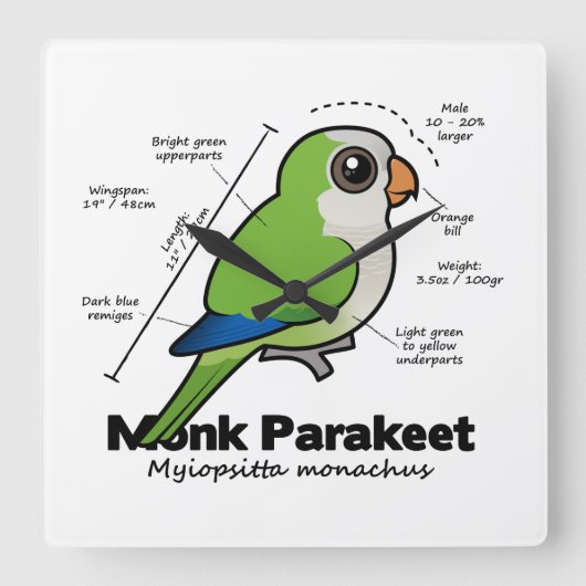 Monk Paraket Statistics Vierkante Klok (Voorkant)