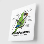 Monk Paraket Statistics Vierkante Klok (Hoek)