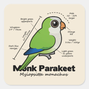 Monk Paraket Statistics Vierkante Sticker