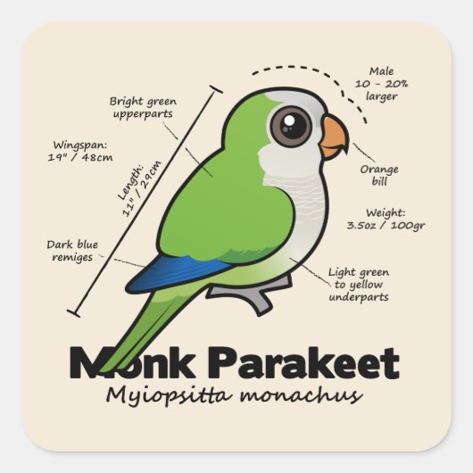 Monk Paraket Statistics Vierkante Sticker (Voorkant)