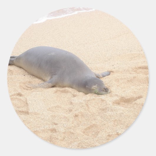 Monk Seal Slapen Alone op het strand Ronde Sticker (Voorkant)