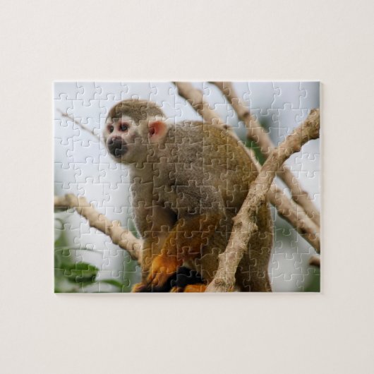 Monkey_2014_1201 Legpuzzel (Horizontaal)