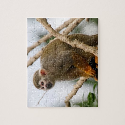 Monkey_2014_1201 Legpuzzel (Verticaal)