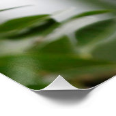 Monkey_2014_1201 Perfect Poster (Hoek)