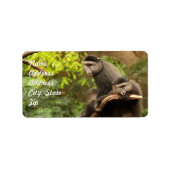 Monkey Address Sticker (Voorkant)