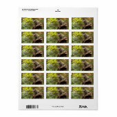 Monkey Address Sticker (Full Sheet)