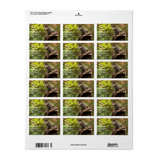 Monkey Address Sticker (Full Sheet)