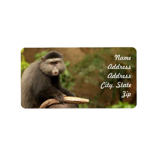 Monkey Address Sticker (Voorkant)
