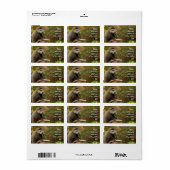Monkey Address Sticker (Full Sheet)