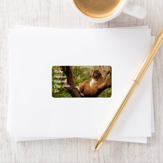 Monkey Address Sticker (Insitu)