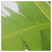 Monkey Banana Tree Fabric Stof (Swatch)