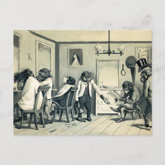  Monkey Barber Shop Briefkaart (Voorkant)