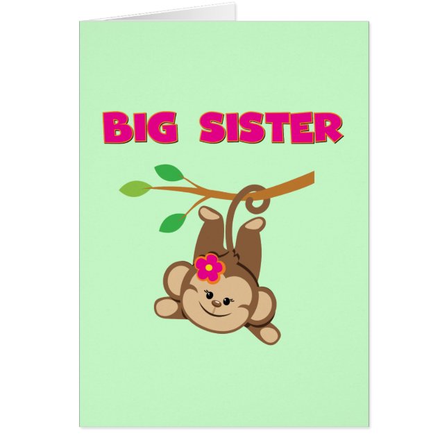 Monkey Big Sister (Voorkant)