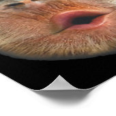 Monkey Blowing Stomach Face Poster (Hoek)