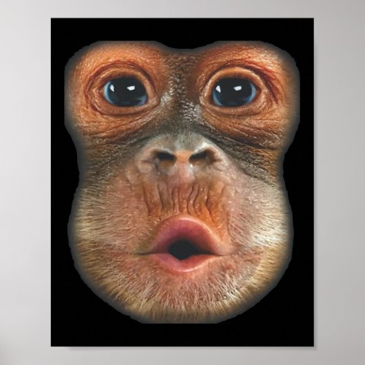 Monkey Blowing Stomach Face Poster (Voorkant)
