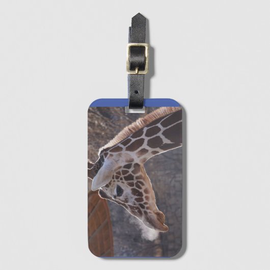 Monkey Boy Bagagelabel #1 (Voorkant (verticaal))