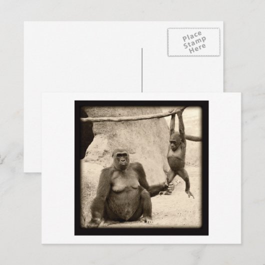 Monkey Business Briefkaart (Voorkant / Achterkant)