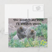 Monkey Business Briefkaart (Voorkant / Achterkant)