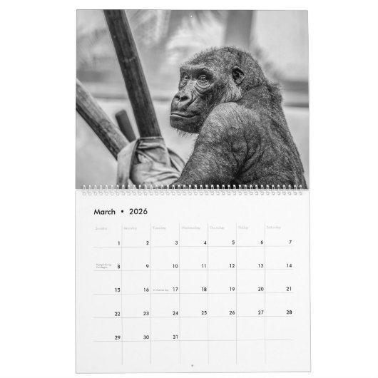 Monkey Business Calendar Kalender (Mar 2026)