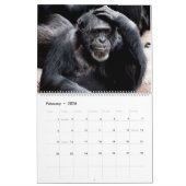 Monkey Business Calendar Kalender (Feb 2026)