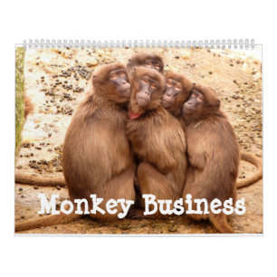 Monkey Business Calendar Kalender